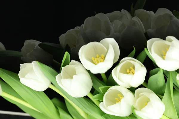 Beau Bouquet Fleurs Tulipes Blanches Avec Carte Sur Fond Noir — Photo