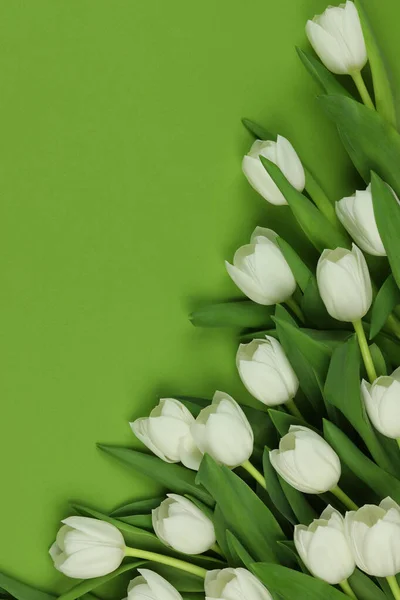Beau Bouquet Fleurs Tulipes Blanches Avec Carte Sur Fond Vert — Photo
