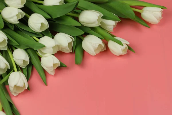 Beau Bouquet Fleurs Tulipes Blanches Avec Carte Sur Fond Rose — Photo