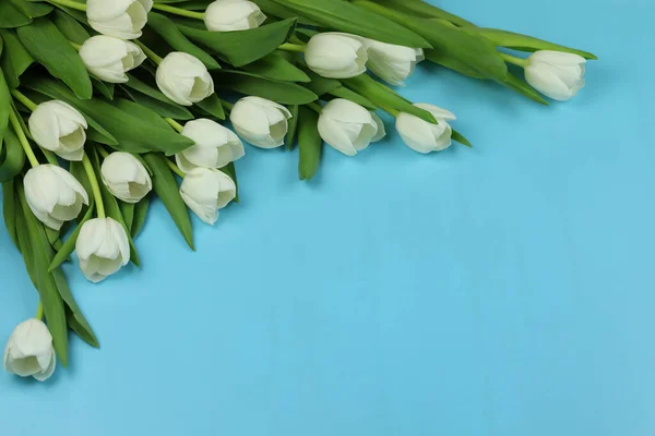 Beau Bouquet Fleurs Tulipes Blanches Avec Carte Sur Fond Bleu — Photo