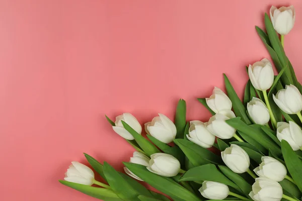 Beau Bouquet Fleurs Tulipes Blanches Avec Carte Sur Fond Rose — Photo