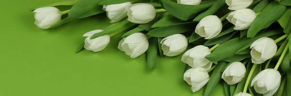 Yeşil Arka Planda Kartı Olan Güzel Bir Buket Beyaz Lale Stok Resim