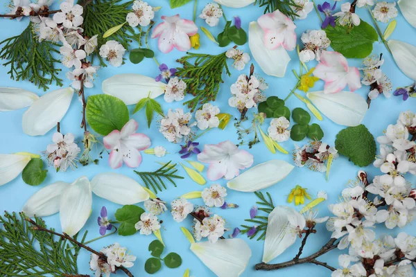 Üzerinde Bahar Çiçekleri Yaprakları Olan Mavi Bir Arka Plan — Stok fotoğraf