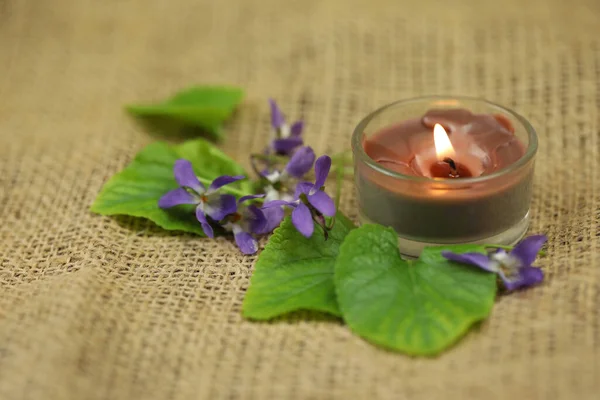 Viola Flowers Sackcloth Candle Copy Space — Stock Photo, Image
