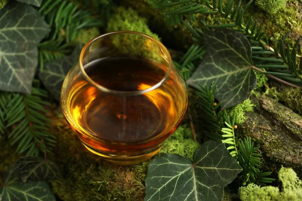 Glass Whiskey Drink Green Forest Background Moss — Stock Photo, Image