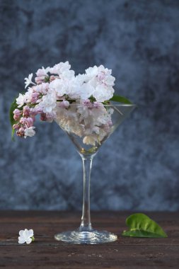 Martini bardağında leylak çiçekleri. Karanlık arka planda gün batımı ışığı.