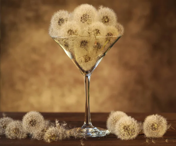 dandelion seed in martini glass with sunset light