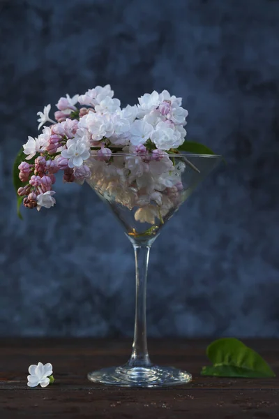 Martini Bardağında Leylak Çiçekleri Karanlık Arka Planda Gün Batımı Işığı Telifsiz Stok Imajlar