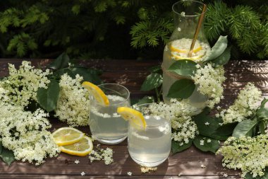 Yaşlı çiçeklerle dolu bir şişe limonata. Koyu ahşap arka planda doğa ile