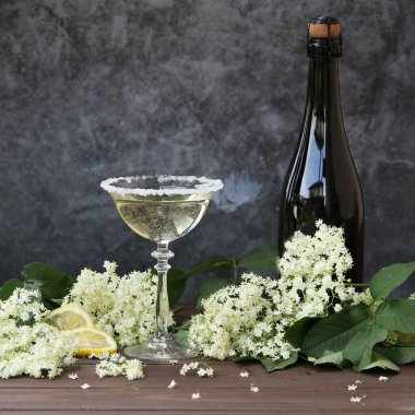 Elderflower likörüyle bir bardak şampanya. Doğal arka planda beyaz yaşlı çiçeklerle süslenmiş.