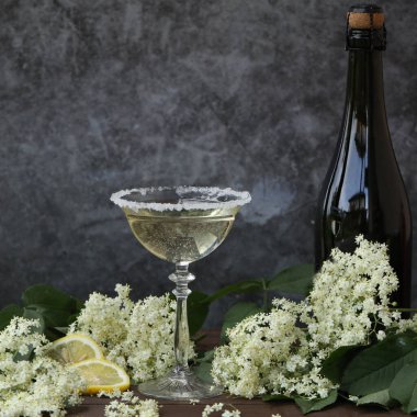 Elderflower likörüyle bir bardak şampanya. Doğal arka planda beyaz yaşlı çiçeklerle süslenmiş.