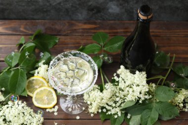 Elderflower likörüyle bir bardak şampanya. Doğal arka planda beyaz yaşlı çiçeklerle süslenmiş.