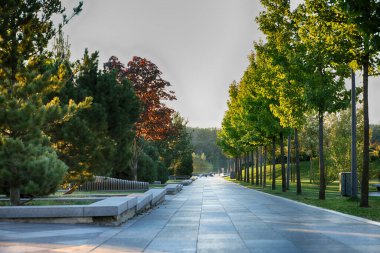 Sabahın erken saatlerinde Dnipro şehrindeki nehrin yanındaki boş parkta.