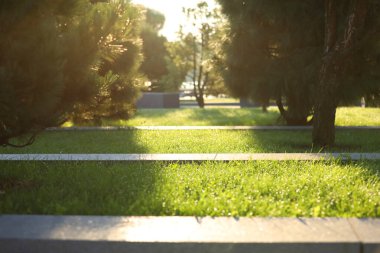 Sabahın erken saatlerinde Dnipro şehrindeki nehrin yanındaki boş parkta.
