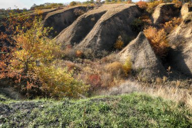 Autumn landscape with big ravine. Country life clipart