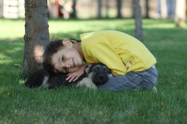 Yaz parkında çimlerin üzerinde çoban köpekleriyle oynayan tatlı çocuk.