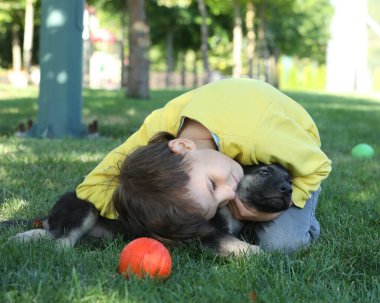 Yaz parkında çimlerin üzerinde çoban köpekleriyle oynayan tatlı çocuk.