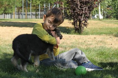 Yaz parkında çimlerin üzerinde çoban köpekleriyle oynayan tatlı çocuk.