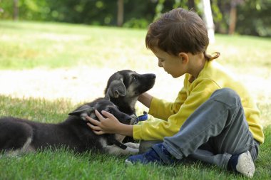 Yaz parkında çimlerin üzerinde çoban köpekleriyle oynayan tatlı çocuk.