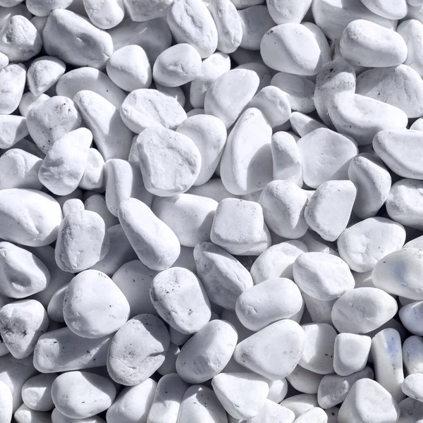 White Pebbles Stone Texture Background Naturally Polished White Rocks — Stock Photo, Image