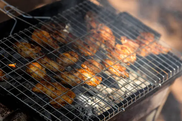 Roasted Meet Cooking Mesh Picnic Outdoor Grille — Stock Photo, Image