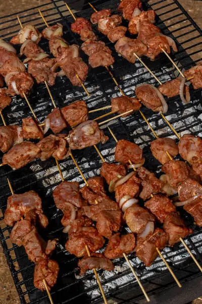 Roasted Meet Cooking Mesh Picnic Outdoor Grille — Stock Photo, Image