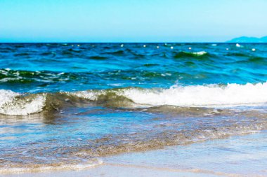 Yaz kumsalı ve deniz dalgaları. Tropikal sahil cenneti