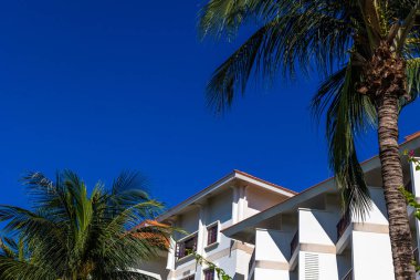 Tropikal ağaçların bahçesindeki lüks apartman binası. Mavi gökyüzüne karşı beyaz ev ve palmiye ağacı