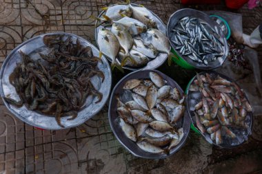 Vietnam 'daki açık hava pazarında taze deniz ürünleri sergileniyor..