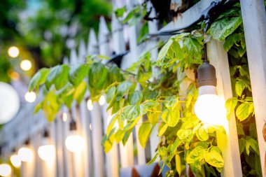 Parlak yeşil yapraklı beyaz çitli açık hava ışıkları.