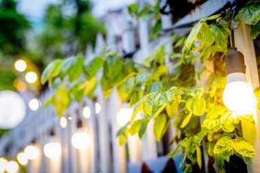 Beyaz çitli ve yeşil yapraklı açık hava bahçe ışıkları..