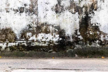 Kentsel sokak ortamında yosun ve çatlaklarla yıpranmış beton duvar.