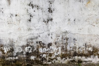 Çatlak ve yosun dokusuyla eskimiş beyaz beton duvar..