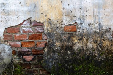 Erozyon ve yosun büyümesi ile yıpranmış tuğla duvar.