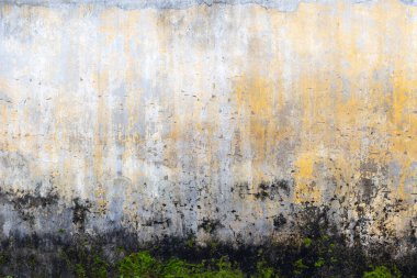 Weathered concrete wall with mossy base and peeling paint texture. clipart