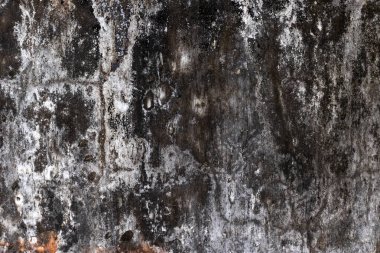 Weathered and textured grungy concrete wall surface. clipart