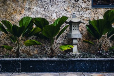 Serene japon taş feneri yemyeşil dokulu duvarlara karşı.