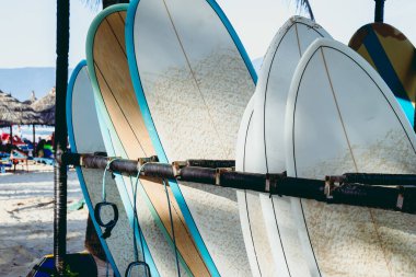 Sörf tahtaları, arka planda kum ve su ile güneşli sahilde dizilmiş..