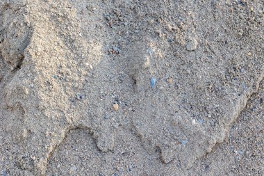 Tarafsız tonlarda çakıl taşları ve granüllerle pürüzlü kum dokusu..