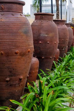 Large terracotta jars and green foliage in outdoor arrangement. clipart