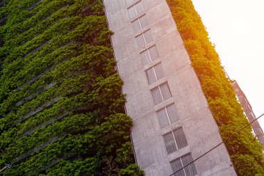 Vertical urban garden on modern high-rise building in sunlight. clipart