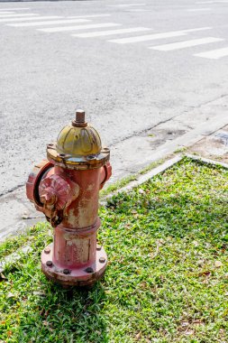 Yıpranmış kırmızı yangın musluğu, yemyeşil çimenlikte kaldırım kenarında..