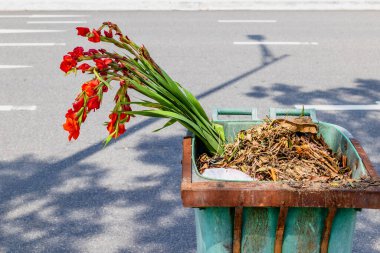 Çöp kutusuna atılmış kırmızı çiçekler ve sokak atıkları..