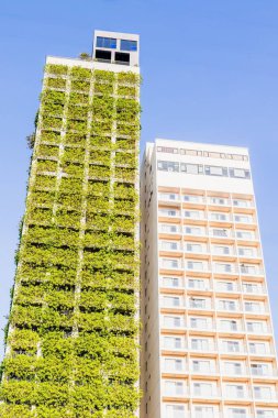 Mavi gökyüzüne karşı modern yüksek binadaki dikey yeşil duvar.