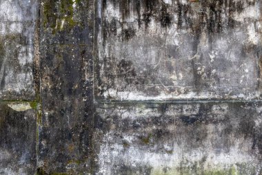 Yosun ve kir dokusuyla yıpranmış beton duvar.