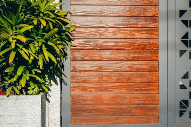 Dikey panelleri olan modern ahşap kapı ve güneş ışığında saksı yeşili..