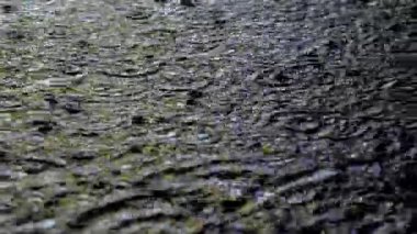 Yağmur damlaları atmosferik yakın planda su yüzeyinde dalgalanmalar yaratır.