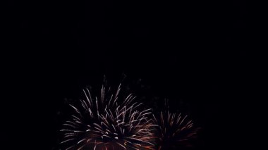 Canlı havai fişekler gece gökyüzünü renkli patlamalarla aydınlatıyor.