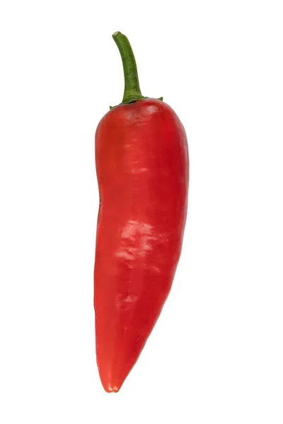 Red Pepper Isolated White Background Long Sweet Pepper Fresh Vegetables — Stock Photo, Image