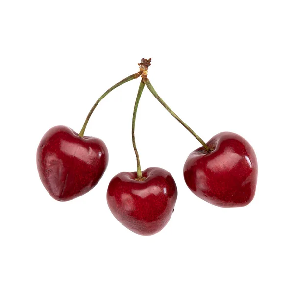Drei Reife Süßkirschen Isoliert Auf Weißem Hintergrund Gruppe Roter Beeren — Stockfoto